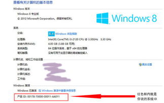 操作系統(tǒng)軟件產(chǎn)品ID查詢指南及常德軟件開發(fā)服務概覽